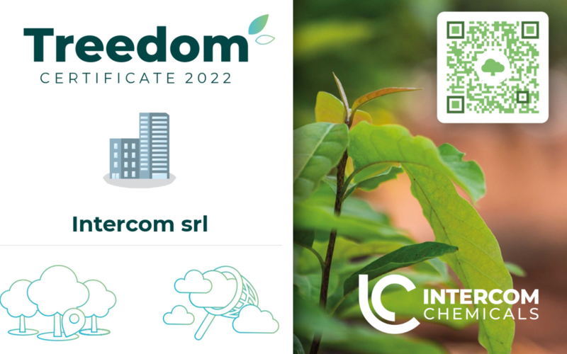 L'impegno per l'ambiente di Intercom chemicals: il sostegno a Treedom