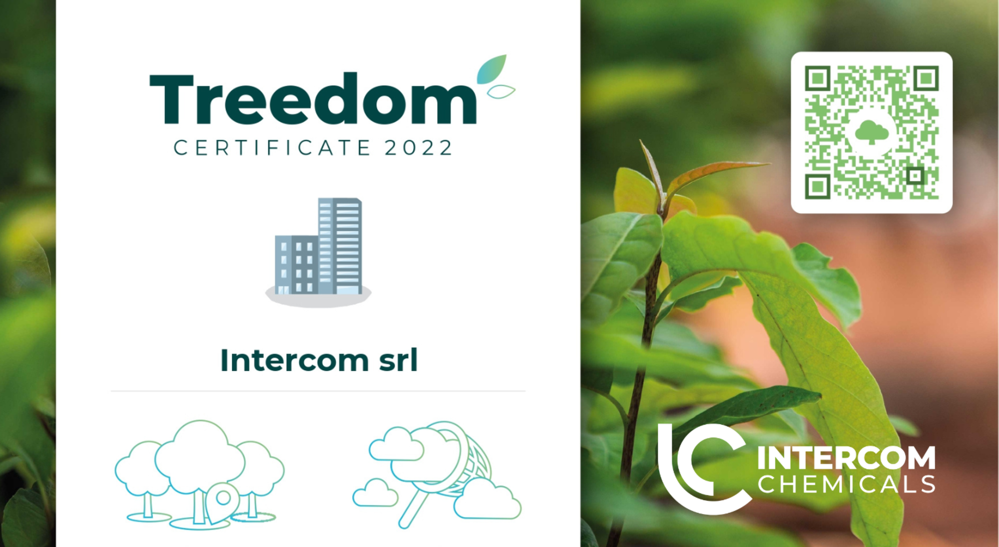 L'impegno per l'ambiente di Intercom chemicals: il sostegno a Treedom