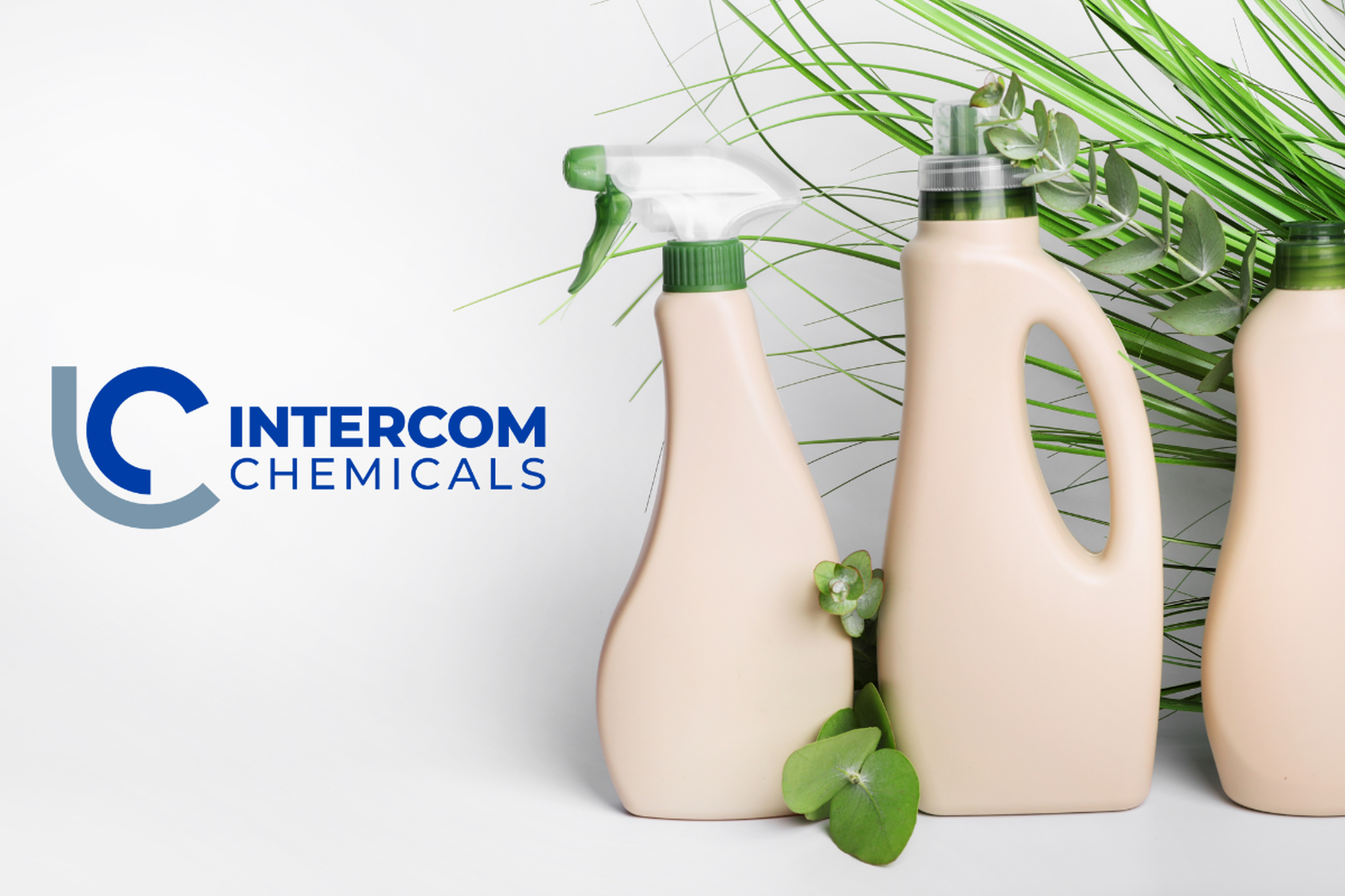 I detergenti ecologici Intercom chemicals: efficacia green su tutte le superfici
