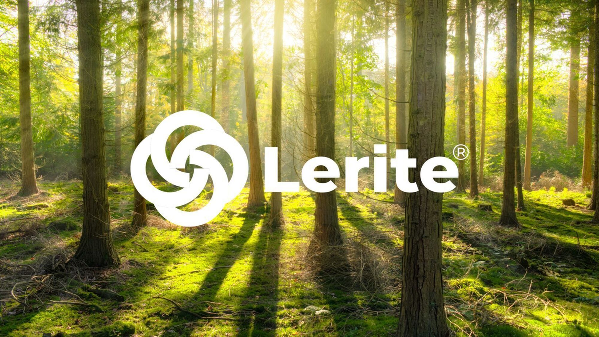 Lerite®: le masse da stampaggio prive di sostanze SVHC